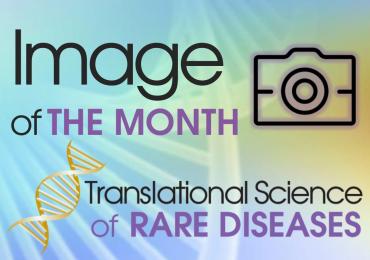 Translational science of rare diseases - image of the month